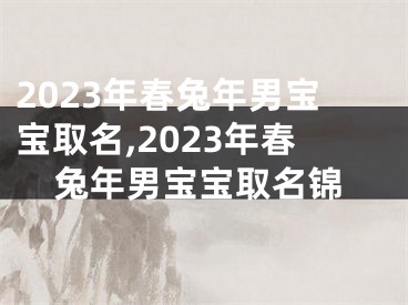 2023年春兔年男宝宝取名,2023年春兔年男宝宝取名锦