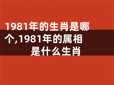 1981年的生肖是哪个,1981年的属相是什么生肖