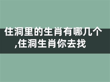 住洞里的生肖有哪几个,住洞生肖你去找