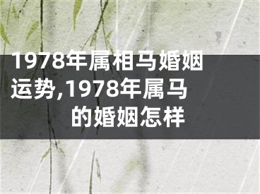 1978年属相马婚姻运势,1978年属马的婚姻怎样