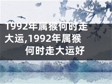 1992年属猴何时走大运,1992年属猴何时走大运好