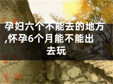 孕妇六个不能去的地方,怀孕6个月能不能出去玩