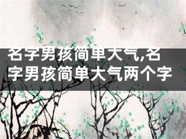 名字男孩简单大气,名字男孩简单大气两个字
