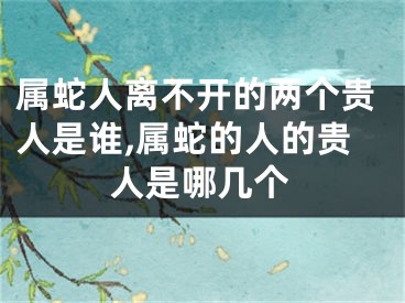 属蛇人离不开的两个贵人是谁,属蛇的人的贵人是哪几个