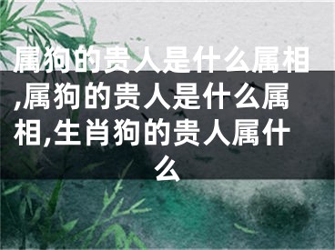 属狗的贵人是什么属相,属狗的贵人是什么属相,生肖狗的贵人属什么