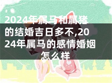 2024年属马和属猪的结婚吉日多不,2024年属马的感情婚姻怎么样