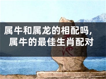 属牛和属龙的相配吗,属牛的最佳生肖配对