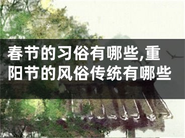 春节的习俗有哪些,重阳节的风俗传统有哪些