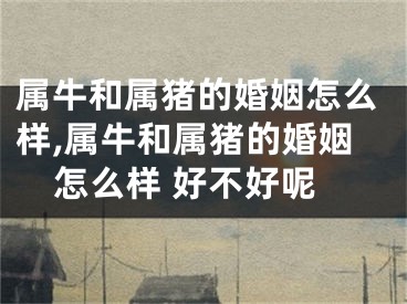 属牛和属猪的婚姻怎么样,属牛和属猪的婚姻怎么样 好不好呢