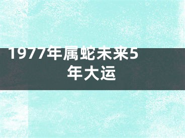 1977年属蛇未来5年大运