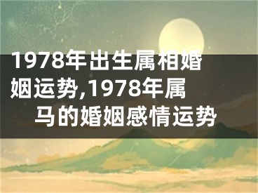 1978年出生属相婚姻运势,1978年属马的婚姻感情运势