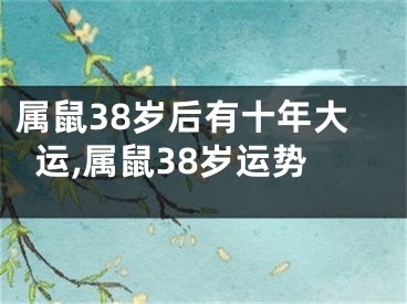 属鼠38岁后有十年大运,属鼠38岁运势
