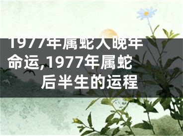 1977年属蛇人晚年命运,1977年属蛇后半生的运程