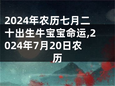 2024年农历七月二十出生牛宝宝命运,2024年7月20日农历