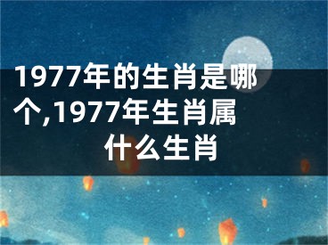 1977年的生肖是哪个,1977年生肖属什么生肖