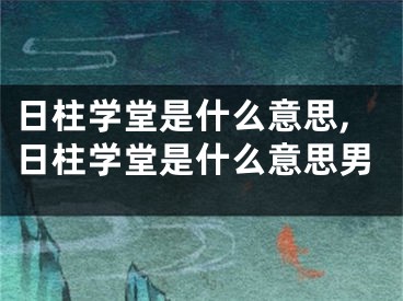日柱学堂是什么意思,日柱学堂是什么意思男