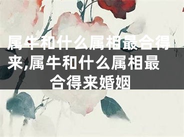 属牛和什么属相最合得来,属牛和什么属相最合得来婚姻