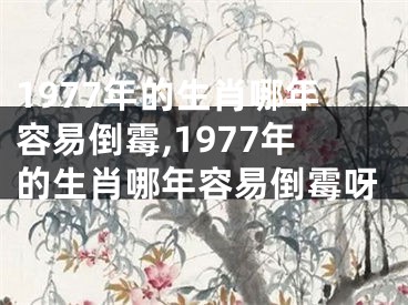 1977年的生肖哪年容易倒霉,1977年的生肖哪年容易倒霉呀