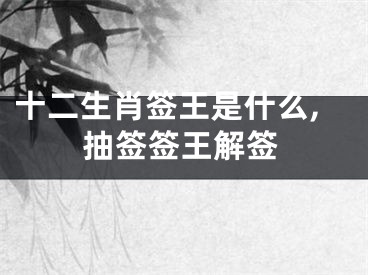 十二生肖签王是什么,抽签签王解签