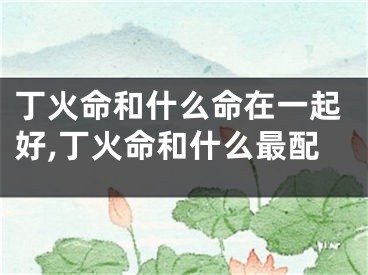 丁火命和什么命在一起好,丁火命和什么最配