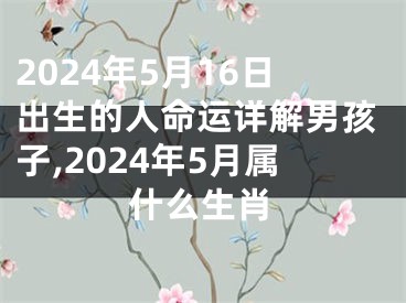 2024年5月16日出生的人命运详解男孩子,2024年5月属什么生肖