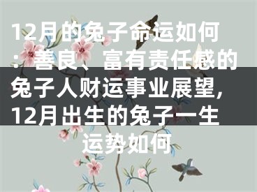 12月的兔子命运如何：善良、富有责任感的兔子人财运事业展望,12月出生的兔子一生运势如何