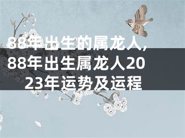 88年出生的属龙人,88年出生属龙人2023年运势及运程