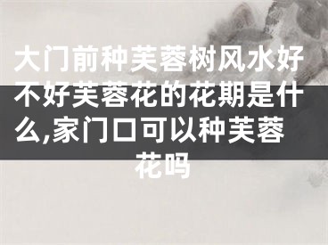 大门前种芙蓉树风水好不好芙蓉花的花期是什么,家门口可以种芙蓉花吗