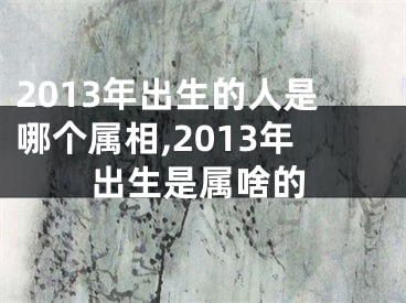 2013年出生的人是哪个属相,2013年出生是属啥的