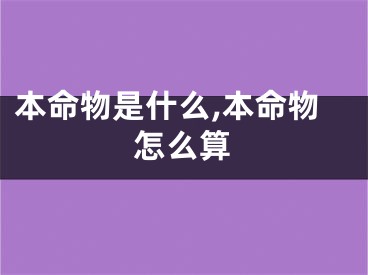 本命物是什么,本命物怎么算