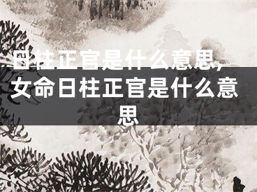 日柱正官是什么意思,女命日柱正官是什么意思