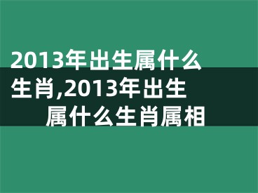 2013年出生属什么生肖,2013年出生属什么生肖属相