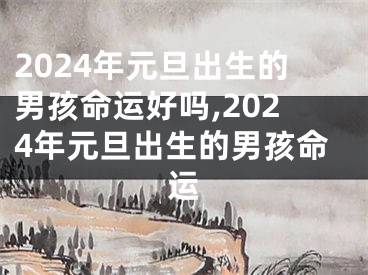 2024年元旦出生的男孩命运好吗,2024年元旦出生的男孩命运