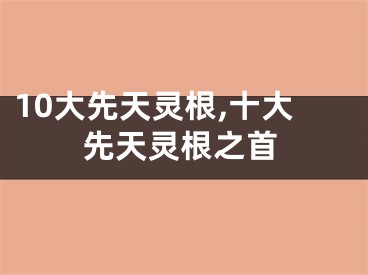 10大先天灵根,十大先天灵根之首