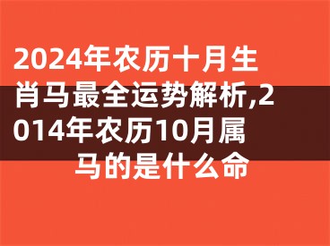 2024年农历十月生肖马最全运势解析,2014年农历10月属马的是什么命