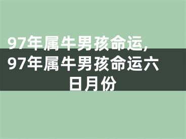 97年属牛男孩命运,97年属牛男孩命运六日月份