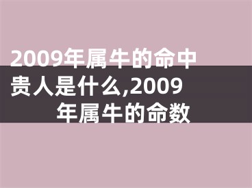 2009年属牛的命中贵人是什么,2009年属牛的命数
