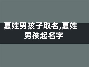 夏姓男孩子取名,夏姓男孩起名字