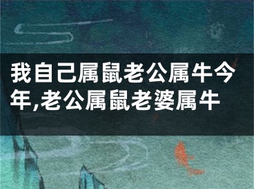 我自己属鼠老公属牛今年,老公属鼠老婆属牛
