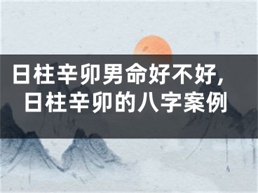 日柱辛卯男命好不好,日柱辛卯的八字案例