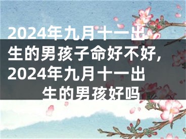 2024年九月十一出生的男孩子命好不好,2024年九月十一出生的男孩好吗