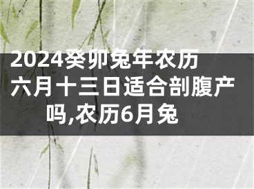 2024癸卯兔年农历六月十三日适合剖腹产吗,农历6月兔
