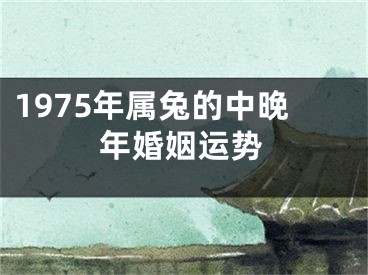 1975年属兔的中晚年婚姻运势