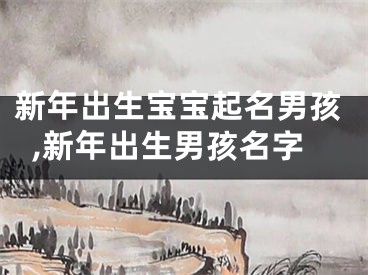 新年出生宝宝起名男孩,新年出生男孩名字