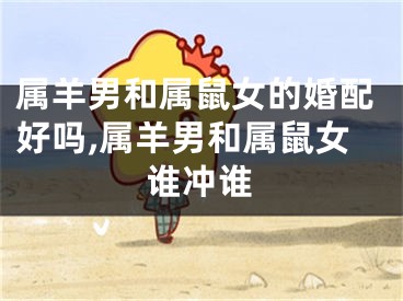 属羊男和属鼠女的婚配好吗,属羊男和属鼠女谁冲谁