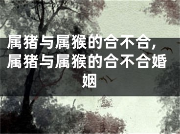 属猪与属猴的合不合,属猪与属猴的合不合婚姻