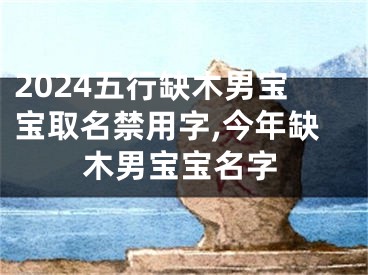 2024五行缺木男宝宝取名禁用字,今年缺木男宝宝名字