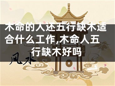 木命的人还五行缺木适合什么工作,木命人五行缺木好吗