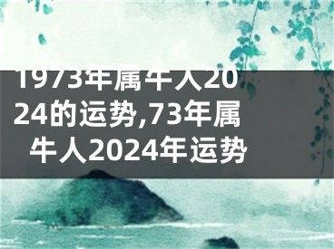 1973年属牛人2024的运势,73年属牛人2024年运势