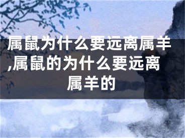 属鼠为什么要远离属羊,属鼠的为什么要远离属羊的